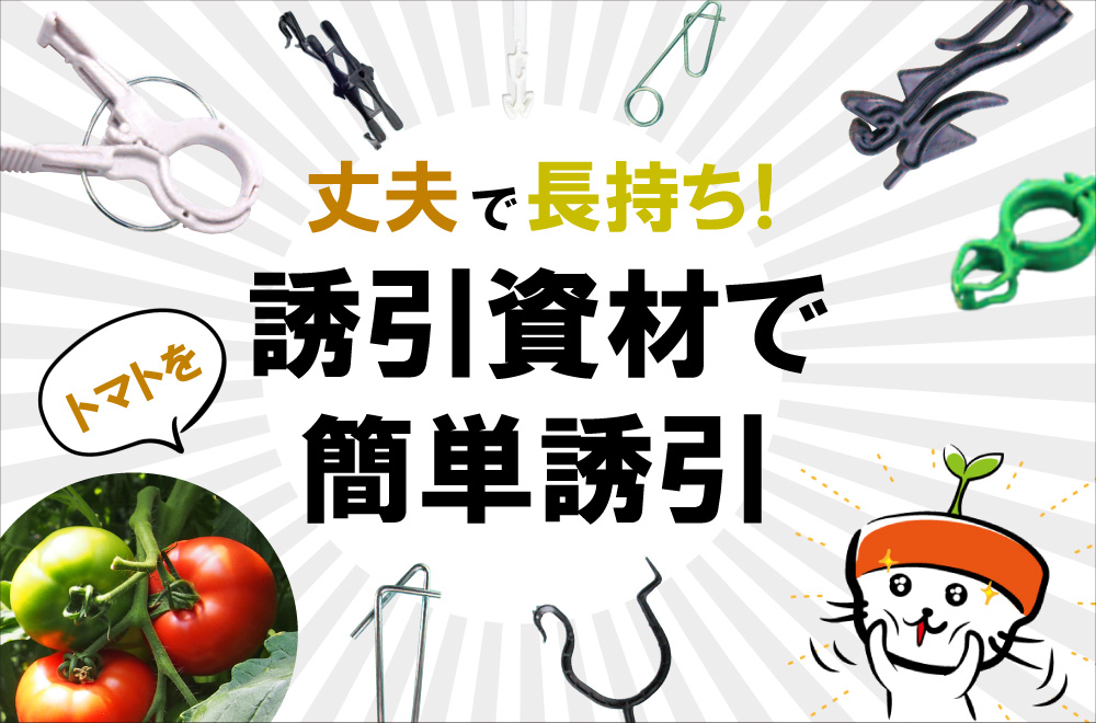 丈夫で長持ち 誘引資材でトマトを簡単誘引 わいずニャン 情報局